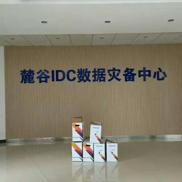 湖南省中国电信麓谷IDC数据灾备中心机房工程项目